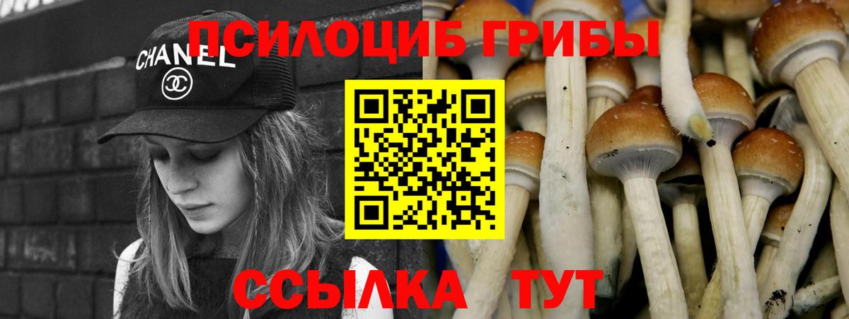 Галлюциногенные грибы MAGIC MUSHROOMS  Вход с VPN  Псилоцибиновые грибы Magic Shrooms  Сухой Лог 
