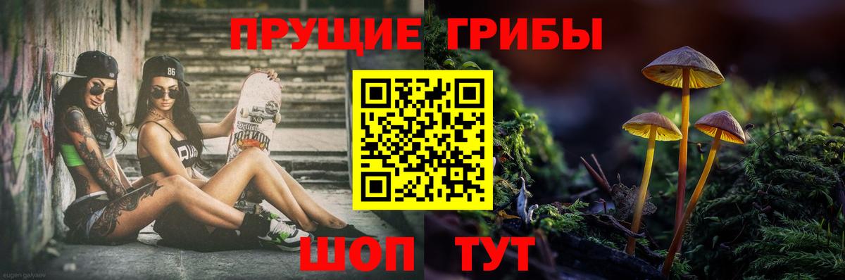 Псилоцибиновые грибы мицелий Сухой Лог