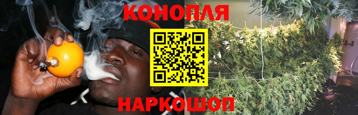 Бошки марихуана тримм  Вход с VPN  Бошки марихуана THC 21%  Сухой Лог  МАРИХУАНА конопля 